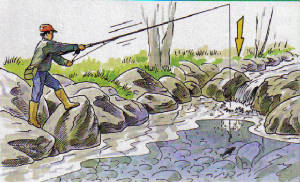 pescuit-musca-in-scurt-1-2.jpg